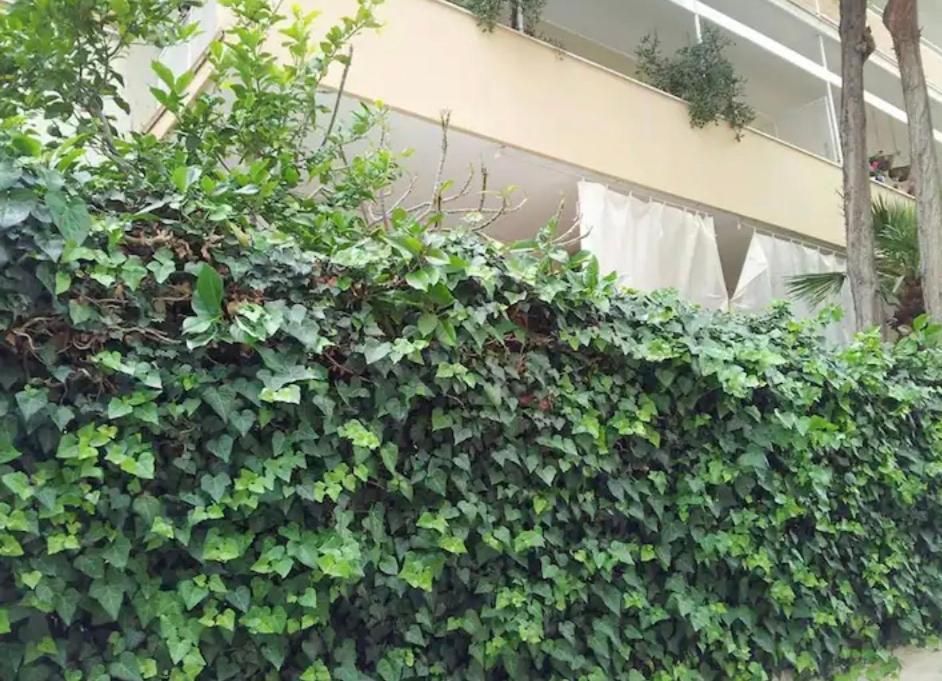 Penelope B&B Palermo Bagian luar foto