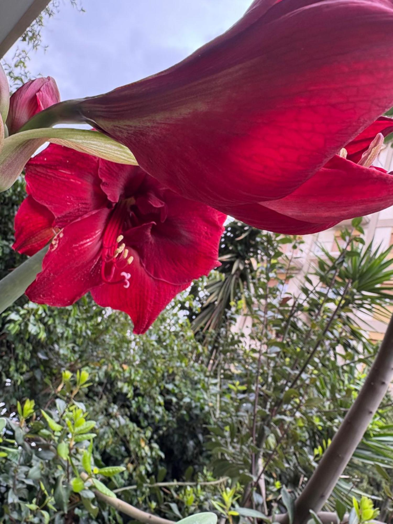 Penelope B&B Palermo Bagian luar foto