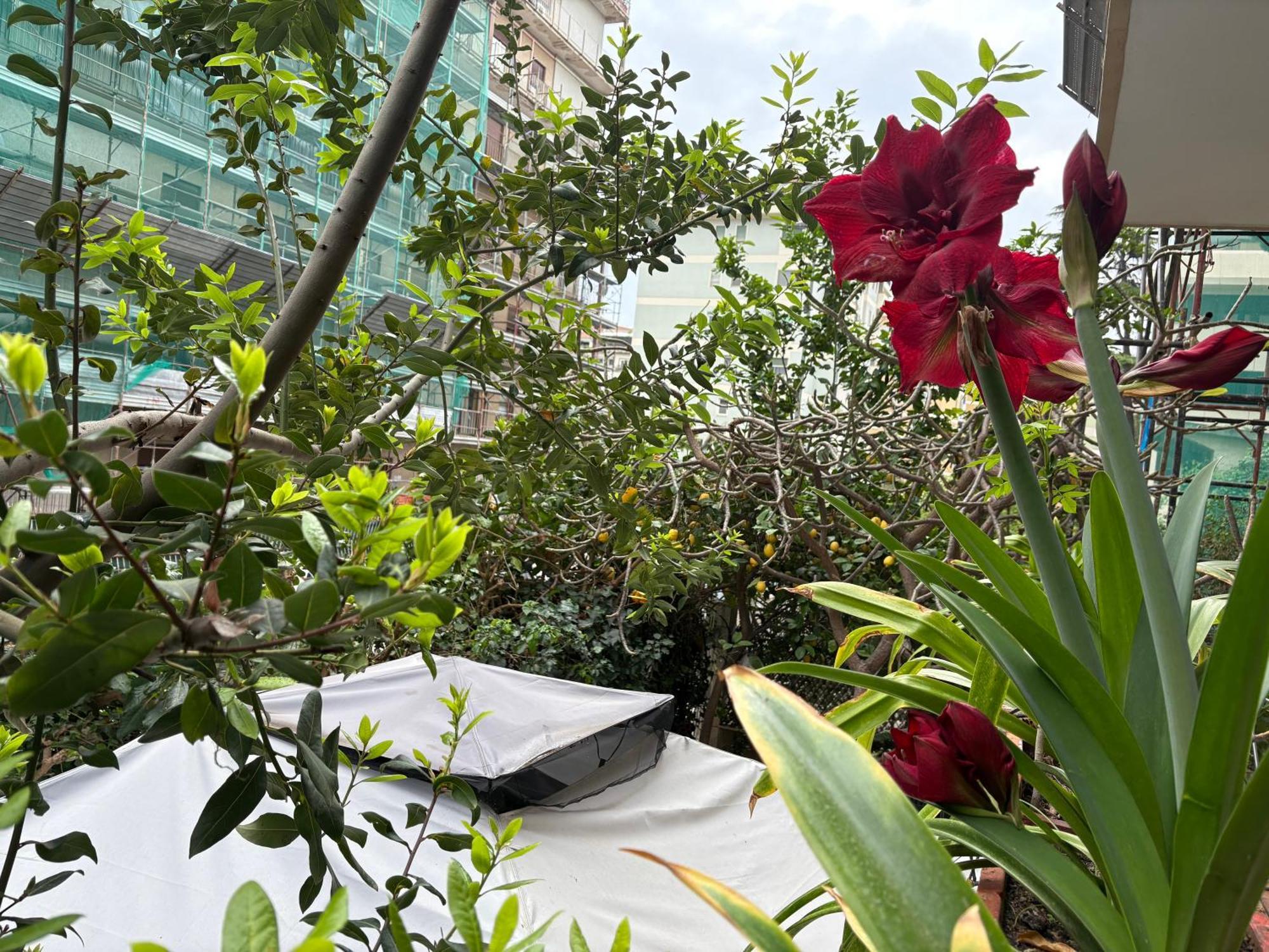 Penelope B&B Palermo Bagian luar foto