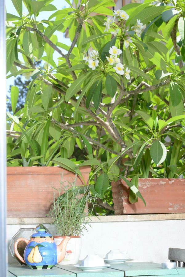 Penelope B&B Palermo Bagian luar foto